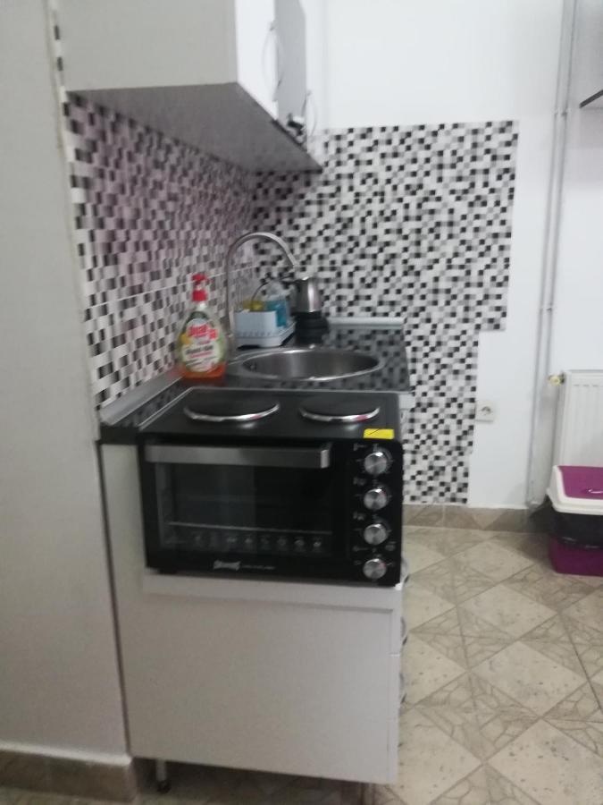 Apartman Jasna, ピロト エクステリア 写真